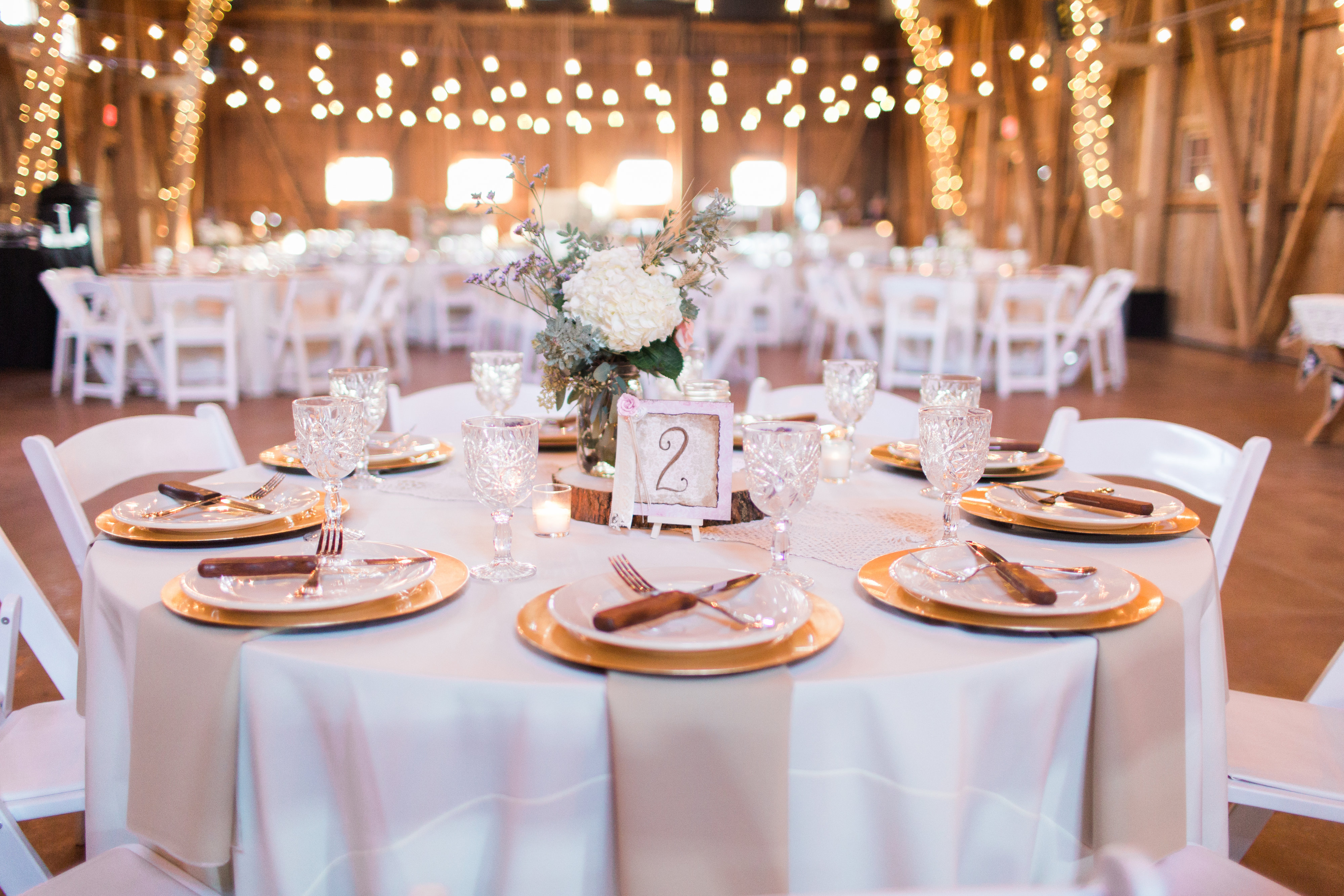 View More: http://dinaremistudios.pass.us/allylovesmike